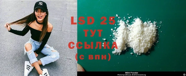 шишки Сатка